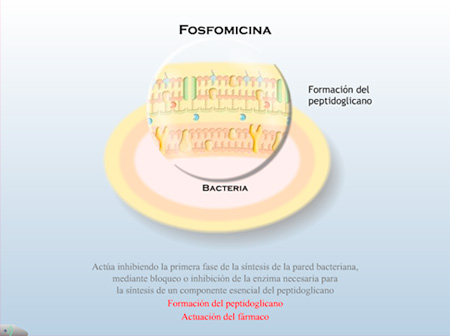 farmamedia-2