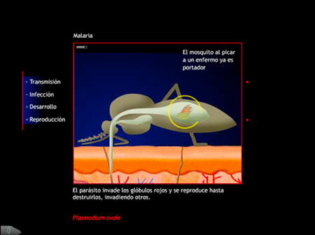 farmamedia-6