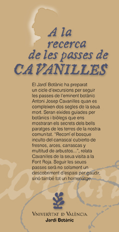 cavanilles-11