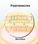 animacion-farmamedia