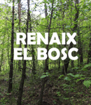 renaix el bosc